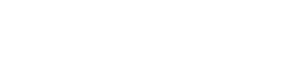Regal Vault Holdings & Logistics Logo